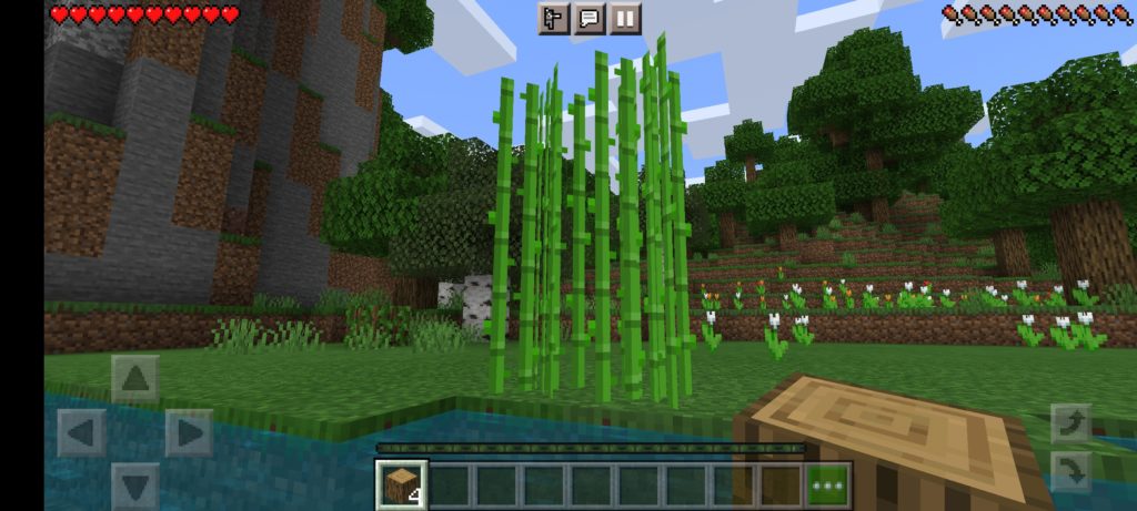Minecraft Sugarcane found