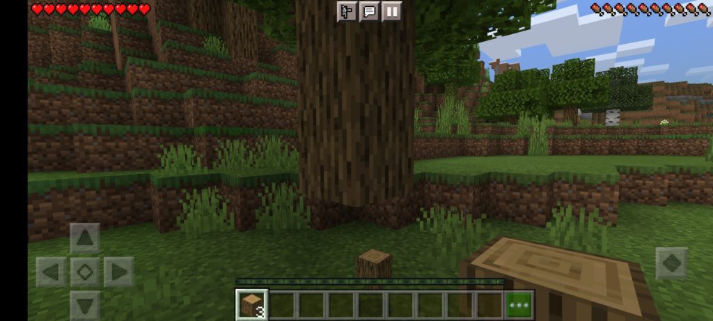 Minecraft Woodplank found