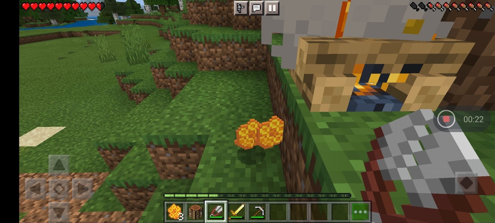 Minecraft Honeycomb drops