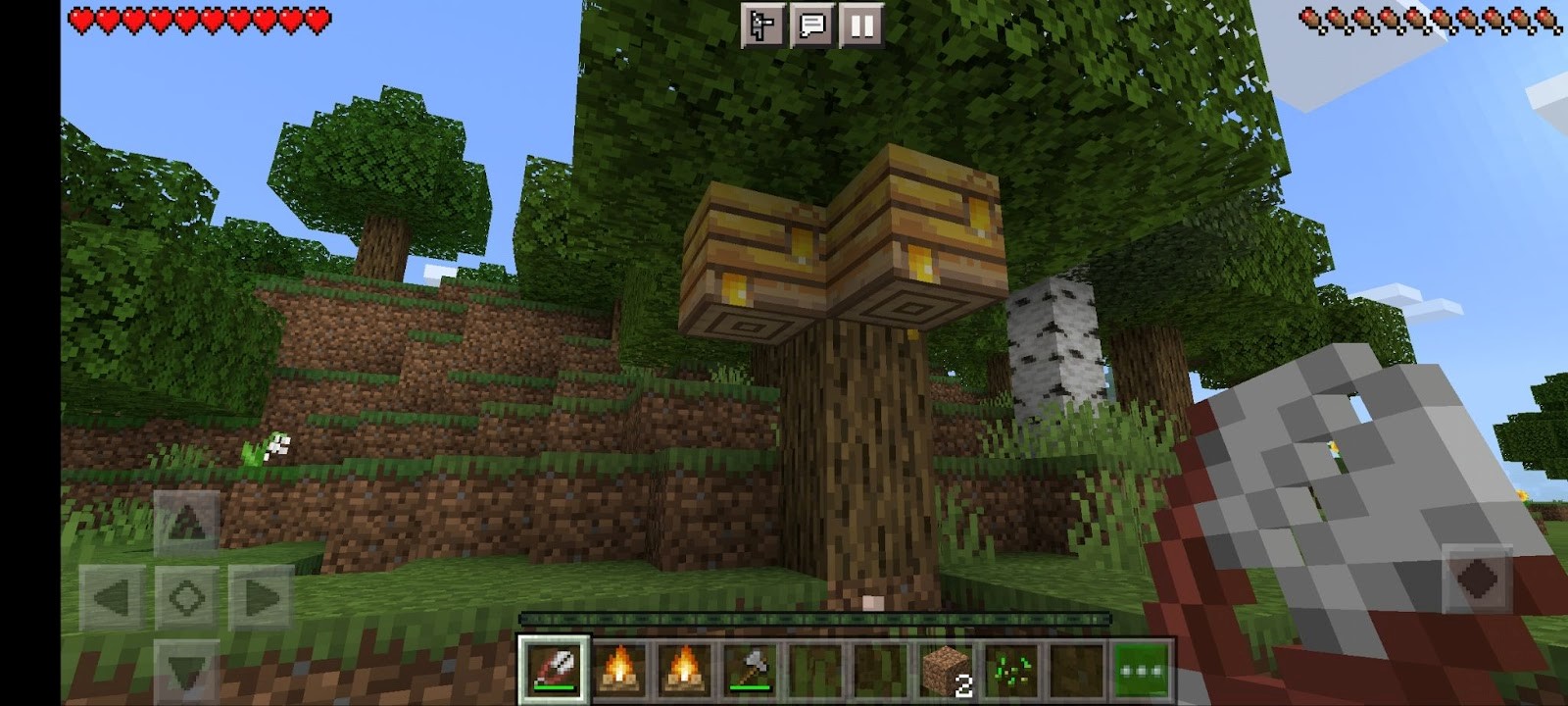 Minecraft Nest